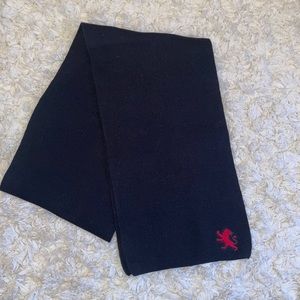 NWOT Scarf